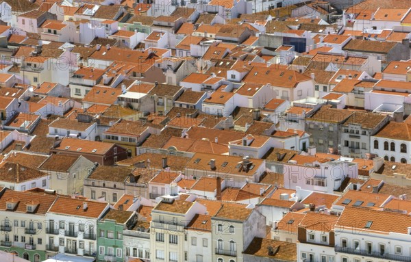 Red tiled roofs, view of the city and bay of Nazaré, Nazaré, Leiria district, Portugal, Europe, Nazaré, aerial view, birds-eyes view, Travel, travel photography