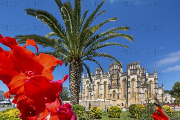 Hibiscus blossom, Hibiscus, Mallow (Hibiscus), Monastery of Santa Maria da VitÃüria, UNESCO World Heritage Site, Monastery Church of Batalha, Mosteiro da Batalha, Batalha, Leiria District, Portugal, Europe, aerial view, birds-eyes view, Travel, Travel Photography