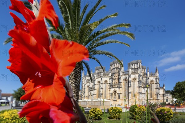 Hibiscus blossom, Hibiscus, Mallow (Hibiscus), Monastery of Santa Maria da VitÃüria, UNESCO World Heritage Site, Monastery Church of Batalha, Mosteiro da Batalha, Batalha, Leiria District, Portugal, Europe, aerial view, birds-eyes view, Travel, Travel Photography