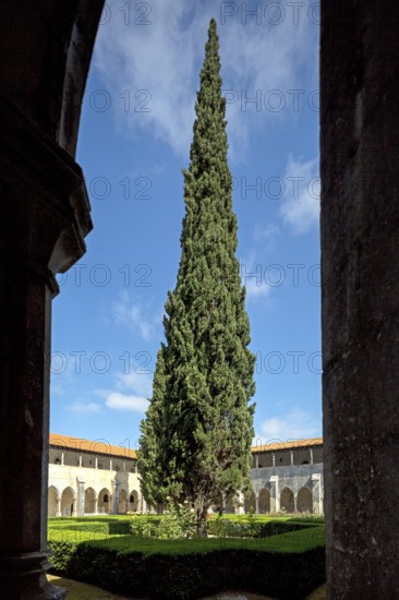 Monastery of Santa Maria da VitÃüria, UNESCO World Heritage Site, cloister with pine trees, monastery church of Batalha, Mosteiro da Batalha, Batalha, Leiria district, Portugal, Europe, aerial view, birds-eyes view, Travel, Travel Photography