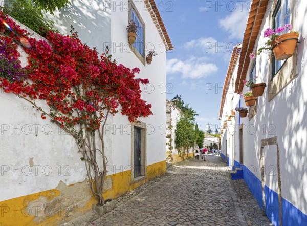 Picturesque facades with primroses and flower pots, picturesque small town Obidos, Ãbidos, district Leiria, Portugal, Europe, Óbidos, aerial view, birds-eyes view, Travel, travel photography