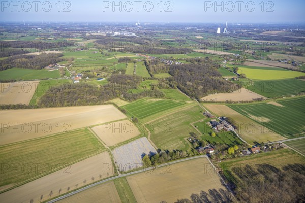Aerial view, meadows and fields with distant view, view to the district Langern, Werne, Münsterland, North Rhine-Westphalia, Germany, DE, Europe, aerial view, aerial photography, aerial photography, Selm, overview, bird's-eye view, overview