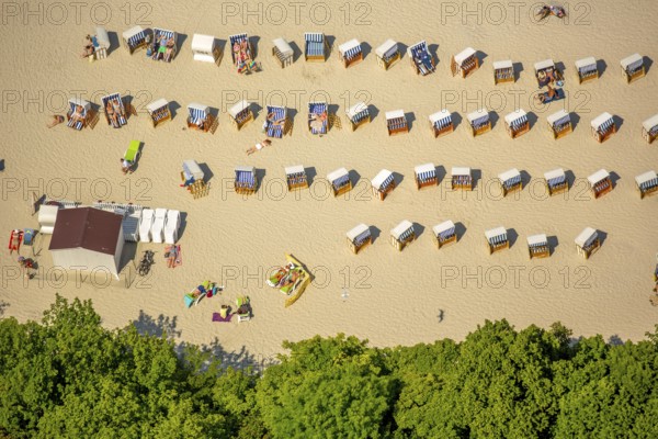 Sandy beach beach, beach chairs, KoÅ'obrzeg, Baltic Sea coast, holiday region, Województwo zachodniopomorskie, Poland, Kolobrzeg, Województwo zachodniopomorskie, PL, Europe, aerial view, birds-eyes view, aerial photography, overview, bird's eye view, northern Poland
