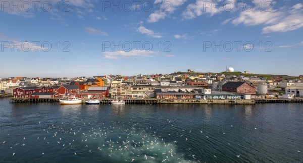 Fishing boats in the harbour with seagulls, Street Art Eternal Light Eternal Night, Observatory Vardø, View of Vardø, Finnmark, Norway, Scandinavia, Europe, Adventure travel, Astronomy, Boats, Tourism, Graffiti eternal light eternal night, Hurtigruten, Hurtigruten voyage, cruise, Maximilian Hell and the transit of Venus, NOR, pile dwellings, travel, destination, ship, ships, sea voyage, sightseeing, observatory, tourism, Norwegian, Scandinavian, tourist, easternmost municipality in Norway