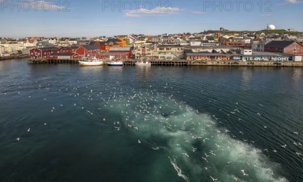 Fishing boats in the harbour with seagulls, Street Art Eternal Light Eternal Night, Observatory Vardø, View of Vardø, Finnmark, Norway, Scandinavia, Europe, Adventure travel, Astronomy, Boats, Tourism, Graffiti eternal light eternal night, Hurtigruten, Hurtigruten voyage, cruise, Maximilian Hell and the transit of Venus, NOR, pile dwellings, travel, destination, ship, ships, sea voyage, sightseeing, observatory, tourism, Norwegian, Scandinavian, tourist, easternmost municipality in Norway