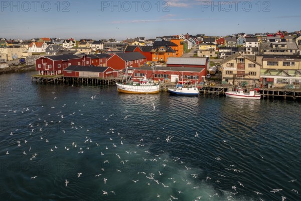 Fishing boats in the harbour with seagulls, view of Vardø, Finnmark, Norway, Scandinavia, Europe, adventure trip, boats, tourism, Hurtigruten, Hurtigruten trip, cruise, NOR, pile dwellings, journey, destination, ship, ships, sea voyage, sightseeing, tourism, Norwegian, Scandinavian, tourist, easternmost municipality of Norway