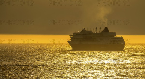 Ship MS Finnmarken, in the morning light, backlight, Berlevåg, Finnmark, Norway, Scandinavia, Europe, adventure trip, Berlevåg, tourism, Hurtigruten, Hurtigruten trip, cruise, cruise ship, liner service, NOR, passenger ship, shipping company Hurtigruten AS, travel, destination, shipping, sea voyage, sightseeing, tourism, Norwegian, Scandinavian, touristic