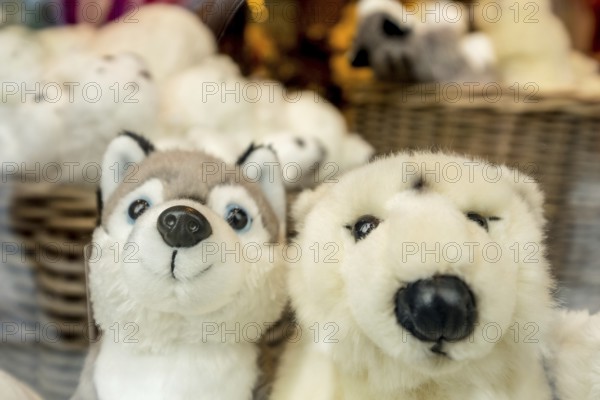 Polar bears stuffed animals, Tromsø, Troms, Norway, Scandinavia, Europe, adventure travel, tourism, Hurtigruten, Hurtigruten voyage, cruise, NOR, travel, destination, sea voyage, sightseeing, tourism, Tromsø, sales display, sales rack, Norwegian, Scandinavian, touristy