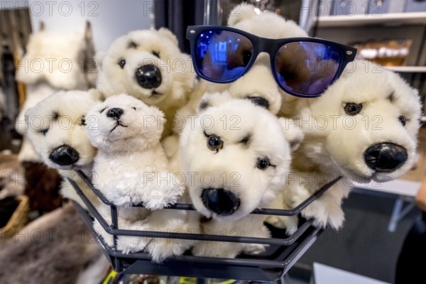 Polar bears stuffed animals, Tromsø, Troms, Norway, Scandinavia, Europe, adventure travel, tourism, Hurtigruten, Hurtigruten voyage, cruise, NOR, travel, destination, sea voyage, sightseeing, tourism, Tromsø, sales display, sales rack, Norwegian, Scandinavian, touristy