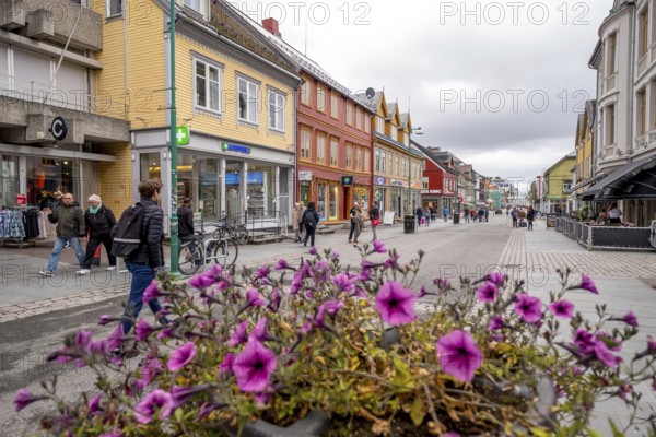 Flowerbed Storgata shopping street, Tromsø, Troms, Norway, Scandinavia, Europe, adventure travel, shopping, shopping mile, shopping markets, shopping place, shopping centre, tourism, pedestrian zone, Hurtigruten, Hurtigruten trip, cruise, NOR, travel, destination, sea trip, shopping, shopping, sightseeing, tourism, Tromsø, Norwegian, Scandinavian, touristic