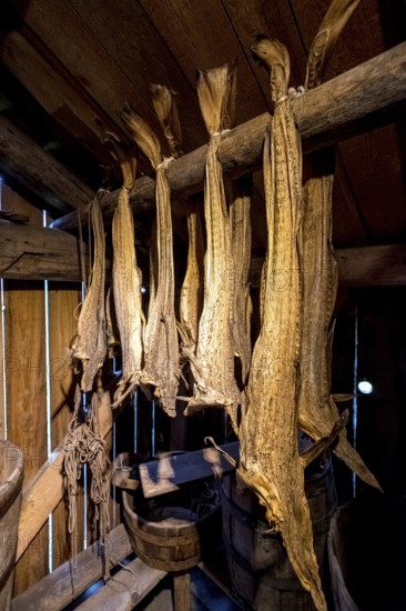 Lofotmuseet, Lofoten Museum, Kabelvåg, Nordland, Norway, Scandinavia, Europe, adventure travel, destination, fishing huts, tourism, Hurtigruten, Hurtigruten voyage, Kabelvåg, cruise, life of the Lofoten fishermen, life of the Lofoten people, Lofoten, Lofoten fishing, museum, NOR, travel, destination, sea voyage, sight, sightseeing, stockfish preparation, Storvåganveien, tourism, living and working, living and life, old huts, former fishing village, historical, Norwegian, Scandinavian, touristic
