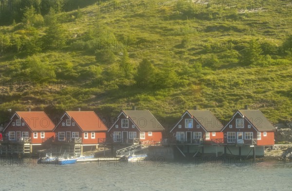 Norwegian coastal houses, boats, Roan, Trøndelag, Norway, Scandinavia, Europe, adventure travel, tourism, Hurtigruten, Hurtigruten trip, real estate, cruise, coast, coastal landscape, coastal region, coastal strip, motorboats, NOR, travel, destination, sea trip, sightseeing, tourism, Trøndelag, living and life, residential area, residential houses, residential quality, housing estate, Norwegian, Scandinavian, touristic