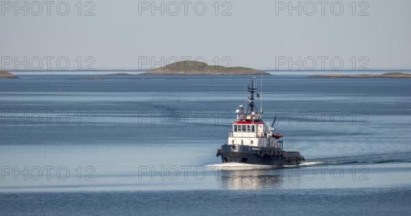 Boat in Trondheimfjord, garden, Trøndelag, Norway, Scandinavia, Europe, adventure trip, boats, fishing boats, tourism, Hurtigruten, Hurtigruten trip, cruise, sea, NOR, trip, destination, ship, ship Abramis, ships, sea trip, sightseeing, tourism, Trøndelag, Norwegian, Scandinavian, touristic