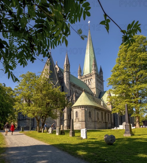 Nidaros Cathedral, Cathedral, Trondheim, Trøndelag, Norway, Scandinavia, Europe, adventure trip, Office of the President of the Norwegian Bishops' Conference, place of worship, Domkirke, tourism, religious community, place of worship, Hurtigruten, Hurtigruten cruise, church, parish, denomination, Kongsgårdsgata, cruise, NOR, national shrine, travel, destination, religion, sea voyage, sightseeing, tourism, Trøndelag, gothic architecture, Norwegian, Scandinavian, touristic