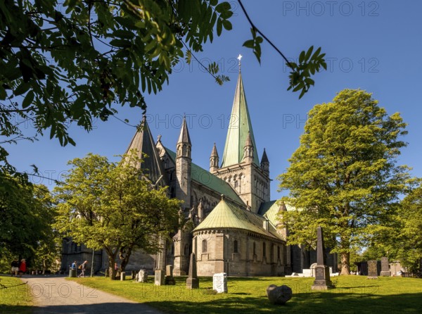 Nidaros Cathedral, Cathedral, Trondheim, Trøndelag, Norway, Scandinavia, Europe, adventure trip, Office of the President of the Norwegian Bishops' Conference, place of worship, Domkirke, tourism, religious community, place of worship, Hurtigruten, Hurtigruten cruise, church, parish, denomination, Kongsgårdsgata, cruise, NOR, national shrine, travel, destination, religion, sea voyage, sightseeing, tourism, Trøndelag, gothic architecture, Norwegian, Scandinavian, touristic