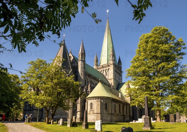 Nidaros Cathedral, Cathedral, Trondheim, Trøndelag, Norway, Scandinavia, Europe, adventure trip, Office of the President of the Norwegian Bishops' Conference, place of worship, Domkirke, tourism, religious community, place of worship, Hurtigruten, Hurtigruten cruise, church, parish, denomination, Kongsgårdsgata, cruise, NOR, national shrine, travel, destination, religion, sea voyage, sightseeing, tourism, Trøndelag, gothic architecture, Norwegian, Scandinavian, touristic