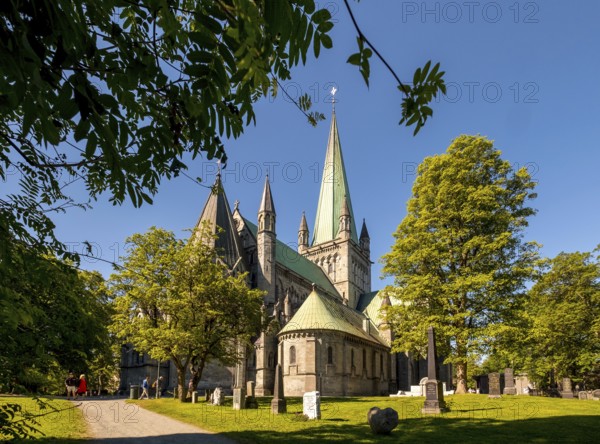 Nidaros Cathedral, Cathedral, Trondheim, Trøndelag, Norway, Scandinavia, Europe, adventure trip, Office of the President of the Norwegian Bishops' Conference, place of worship, Domkirke, tourism, religious community, place of worship, Hurtigruten, Hurtigruten cruise, church, parish, denomination, Kongsgårdsgata, cruise, NOR, national shrine, travel, destination, religion, sea voyage, sightseeing, tourism, Trøndelag, gothic architecture, Norwegian, Scandinavian, touristic