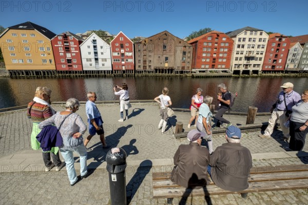Warehouse city, picturesque colourful houses and commercial buildings on the river Nidelva, pile dwellings, Trondheim, Trøndelag, Norway, Scandinavia, Europe, adventure travel, tourism, gastronomy, commercial buildings, business district, property tax, commercial buildings, Hurtigruten, Hurtigruten trip, real estate, cruise, NOR, travel, destination, sea voyage, sightseeing, warehouses, tourism, tourists, Trøndelag, residential area, living and living, residential area, residential buildings, residential quality, residential quarter, housing estate, colourful house facades, near the bridge Gamle Bybro, Norwegian, Scandinavian, touristic