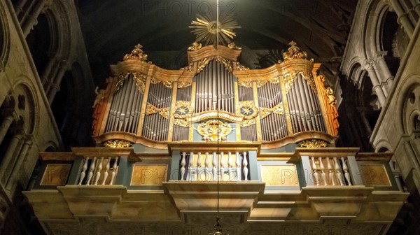 Nidaros Cathedral, cathedral, Steinmeyer organ, Trondheim, Trøndelag, Norway, Scandinavia, Europe, adventure trip, Office of the Presidents of the Norwegian Bishops' Conference, place of worship, Domkirke, tourism, religious community, place of worship, Hurtigruten, Hurtigruten voyage, church, church community, denomination, Kongsgårdsgata, cruise, NOR, national shrine, travel, destination, religion, sea voyage, sightseeing, tourism, Trøndelag, gothic architecture, Norwegian, Scandinavian, tourist