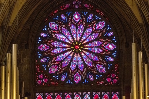 Nidaros Cathedral, cathedral, stained glass window, rose window, Trondheim, Trøndelag, Norway, Scandinavia, Europe, adventure travel, Office of the Presidents of the Norwegian Bishops' Conference, place of worship, Domkirke, tourism, religious community, place of worship, Hurtigruten, Hurtigruten voyage, church, church community, denomination, Kongsgårdsgata, cruise, NOR, national shrine, travel, destination, religion, sea voyage, sightseeing, tourism, Trøndelag, gothic architecture, Norwegian, Scandinavian, tourist
