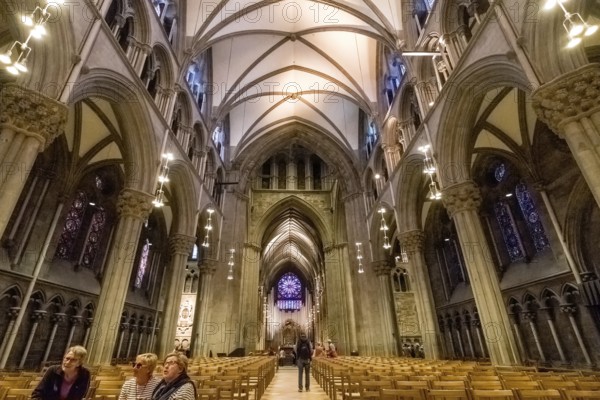 Nidaros Cathedral, cathedral, nave, altar, Trondheim, Trøndelag, Norway, Scandinavia, Europe, adventure travel, Office of the Presidents of the Norwegian Bishops' Conference, place of worship, Domkirke, tourism, faith community, place of worship, Hurtigruten, Hurtigruten voyage, interior, church, parish, denomination, Kongsgårdsgata, cruise, NOR, national shrine, travel, destination, religion, sea voyage, sightseeing, tourism, Trøndelag, Gothic architecture, Norwegian, Scandinavian, touristic