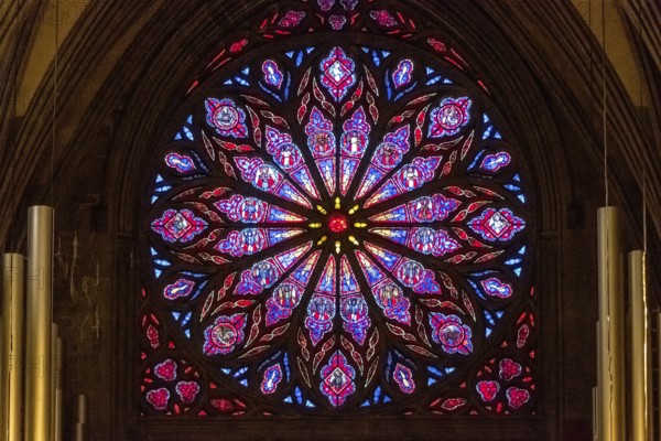 Nidaros Cathedral, cathedral, stained glass window, rose window, Trondheim, Trøndelag, Norway, Scandinavia, Europe, adventure travel, Office of the Presidents of the Norwegian Bishops' Conference, place of worship, Domkirke, tourism, religious community, place of worship, Hurtigruten, Hurtigruten voyage, church, church community, denomination, Kongsgårdsgata, cruise, NOR, national shrine, travel, destination, religion, sea voyage, sightseeing, tourism, Trøndelag, gothic architecture, Norwegian, Scandinavian, tourist