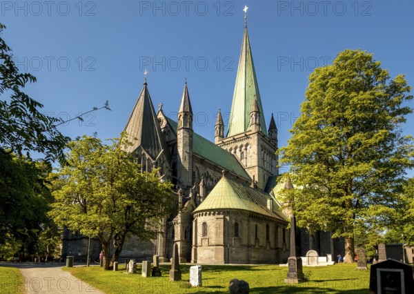 Nidaros Cathedral, Cathedral, Trondheim, Trøndelag, Norway, Scandinavia, Europe, adventure trip, Office of the President of the Norwegian Bishops' Conference, place of worship, Domkirke, tourism, religious community, place of worship, Hurtigruten, Hurtigruten cruise, church, parish, denomination, Kongsgårdsgata, cruise, NOR, national shrine, travel, destination, religion, sea voyage, sightseeing, tourism, Trøndelag, gothic architecture, Norwegian, Scandinavian, touristic