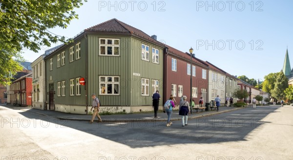 Wooden houses Schultz Gate in the centre, Trondheim, Trøndelag, Norway, Scandinavia, Europe, adventure travel, tourism, Hurtigruten, Hurtigruten trip, cruise, NOR, travel, destination, sea trip, sightseeing, tourism, Trøndelag, Norwegian, Scandinavian, touristic