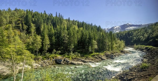 River in the mountains, forest, stones, sky, Vossestrand, Hordaland, Norway, Scandinavia, Europe, NOR, travel, tourism, destination, sightseeing, sea voyage, Hurtigruten, Hurtigruten trip, tourism, Norwegian, Scandinavian, tourist, cruise, adventure trip, riverbed, water, waters, trees, spruce, mixed forest, snow peaks, crystal blue, travelling on the Flam Railway, Flam Railway