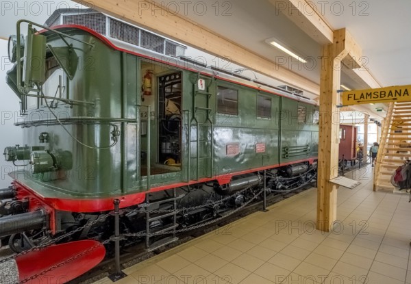 Train, Flåmsbana, The Flam Railway, Flamsban Station, railway station, Sogn og Fjordane, Norway, Scandinavia, Europe, Flåm, NOR, travel, tourism, destination, sightseeing, sea voyage, Hurtigruten, Hurtigruten trip, tourism, Norwegian, Scandinavian, tourist, cruise, adventure trip, tile, railway, Aurlandsfjords, high mountains