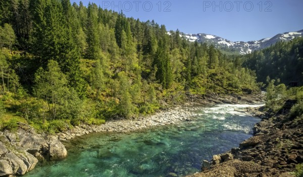 River in the mountains, forest, stones, sky, Vossestrand, Hordaland, Norway, Scandinavia, Europe, NOR, travel, tourism, destination, sightseeing, sea voyage, Hurtigruten, Hurtigruten trip, tourism, Norwegian, Scandinavian, tourist, cruise, adventure trip, riverbed, water, waters, trees, spruce, mixed forest, snow peaks, crystal blue, travelling on the Flam Railway, Flam Railway