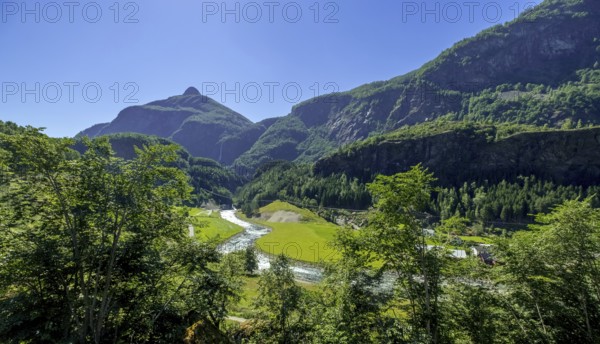 Travel by Flam Railway, iron railway journey, view from the Flåmsbana, Ryavegen, mountains, forests, meadows, blue sky, Flåm, Sogn og Fjordane, Norway, Scandinavia, Europe, Flåm, NOR, travel, tourism, destination, sightseeing, sea voyage, Hurtigruten, Hurtigruten voyage, tourism, Norwegian, Scandinavian, tourist, cruise, adventure trip, trees, tree, forest, forestry, forestry, hills