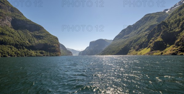 Fjord, Nærøyfjorden, Flåm, Gudvangen, mountains, trees, blue sky, Undredal, Sogn og Fjordane, Norway, Scandinavia, Europe, NOR, travel, tourism, destination, sightseeing, sea voyage, Hurtigruten, Hurtigruten trip, tourism, Norwegian, Scandinavian, tourist, cruise, adventure trip, waters, water, sightseeing, hills, forests