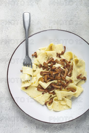 Pasta papardelle, in creamy garlic sauce, with mushrooms, traditional Italian cuisine, pasta carbonara, homemade, no people