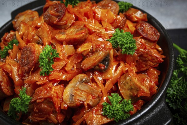 Bigos, bigus is a national Polish dish, made of cabbage and meat, stewed, homemade, no people
