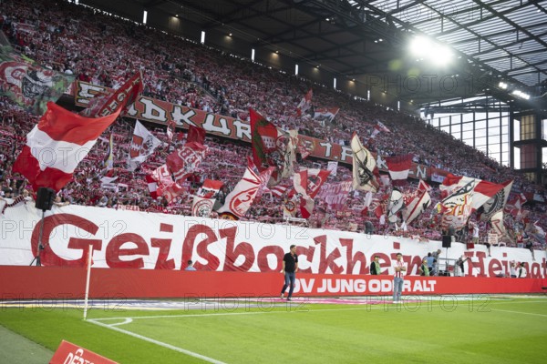 (DFL/DFB REGULATES PROHIBIT ANY USE OF PHOTOGRAPHS AS IMAGE SEQUENCES AND/OR QUASI-VIDEO), RheinEnergieStadion, Cologne, North Rhine-Westphalia, Südkurve, 1st Bundesliga, 1.FC Köln, SC Freiburg on 31.08.2025 at the RheinEnergieStadion in Cologne Germany