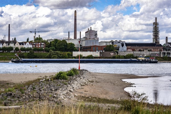 Rhine near Duisburg, low water, Rhine level, the right bank of the Rhine, near Duisburg-Neuenkamp, falls dry, North Rhine-Westphalia, Germany
