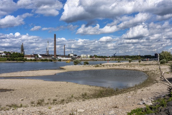Rhine near Duisburg, low water, Rhine level, the right bank of the Rhine, near Duisburg-Neuenkamp, falls dry, North Rhine-Westphalia, Germany