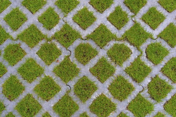 Lawn pavers, made of concrete, instead of completely sealing an area with paving stones, concrete or asphalt, you can choose this method and let grass grow in the spaces between the pavers, unsealing of surfaces, sponge city principle, rainwater can be absorbed so well by the soil