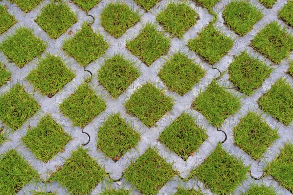 Lawn pavers, made of concrete, instead of completely sealing an area with paving stones, concrete or asphalt, you can choose this method and let grass grow in the spaces between the pavers, unsealing of surfaces, sponge city principle, rainwater can be absorbed so well by the soil