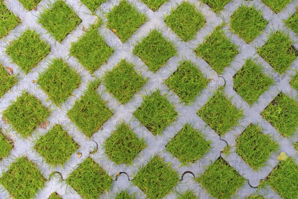 Lawn pavers, made of concrete, instead of completely sealing an area with paving stones, concrete or asphalt, you can choose this method and let grass grow in the spaces between the pavers, unsealing of surfaces, sponge city principle, rainwater can be absorbed so well by the soil