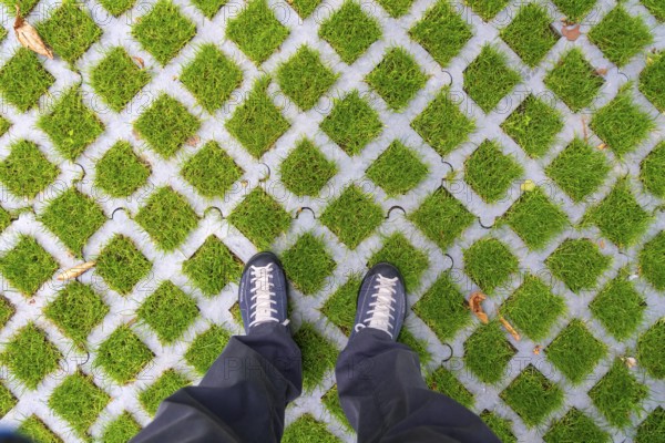 Lawn pavers, made of concrete, instead of completely sealing an area with paving stones, concrete or asphalt, you can choose this method and let grass grow in the spaces between the pavers, unsealing of surfaces, sponge city principle, rainwater can be absorbed so well by the soil