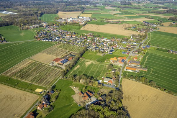 Aerial view, residential area local view Vinnum with catholic church St. Marien, surrounded by meadows and fields, Olfen-Kirchspiel, Olfen, Münsterland, North Rhine-Westphalia, Germany, place of worship, DE, Europe, religious community, place of worship, property tax, holy place, real estate, church, parish, denomination, aerial view, aerial photography, aerial photography, religion, religious site, overview, bird's-eye view, living and life, residential area, residential quality, residential neighbourhood, housing estate, residential area, birds-eyes view, overview
