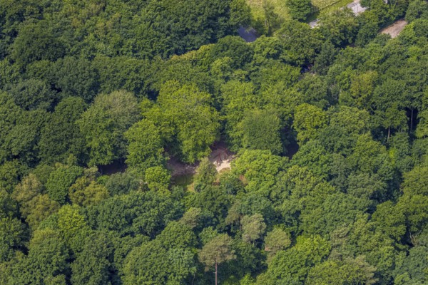 Aerial view, Hiesfelder Wald with playground at Franzosenstraße, Walsumer Mark, Oberhausen, Ruhr area, North Rhine-Westphalia, Germany, DE, Europe, aerial view, aerial photography, aerial photography, playground, overview, bird's-eye view, forest, forest area, birds-eyes view, overview, OberhausenNord