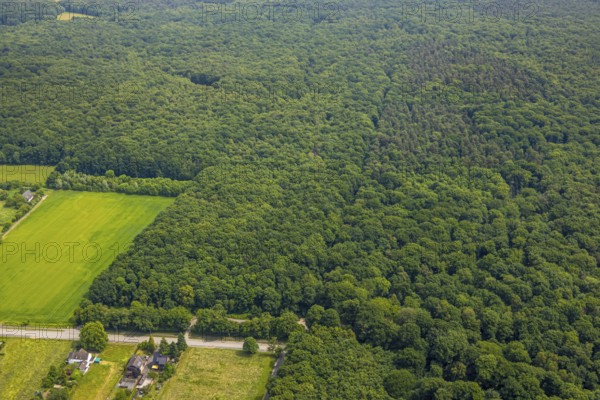 Aerial view, Hiesfelder Wald with playground at Franzosenstraße, Walsumer Mark, Oberhausen, Ruhr area, North Rhine-Westphalia, Germany, DE, Europe, aerial view, aerial photography, aerial photography, playground, overview, bird's-eye view, forest, forest area, birds-eyes view, overview, OberhausenNord