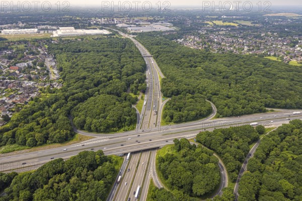 Aerial view, motorway junction Oberhausen with the motorways A2 and A3, nature reserve NSG Sterkrader Wald, Königshardt, Oberhausen, Ruhr area, North Rhine-Westphalia, Germany, motorway, motorway bridge, DE, Europe, aerial view, aerial photography, aerial photography, overview, bird's eye view, forest area, birds-eyes view, overview, OberhausenNord