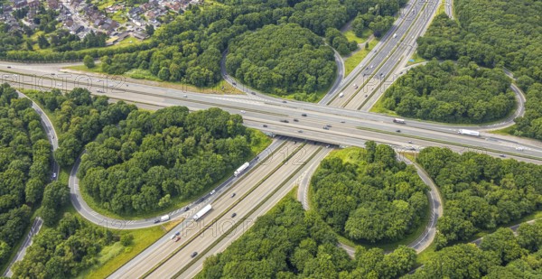 Aerial view, motorway junction Oberhausen with the motorways A2 and A3, nature reserve NSG Sterkrader Wald, Königshardt, Oberhausen, Ruhr area, North Rhine-Westphalia, Germany, motorway, motorway bridge, DE, Europe, aerial view, aerial photography, aerial photography, overview, bird's eye view, forest area, birds-eyes view, overview, OberhausenNord