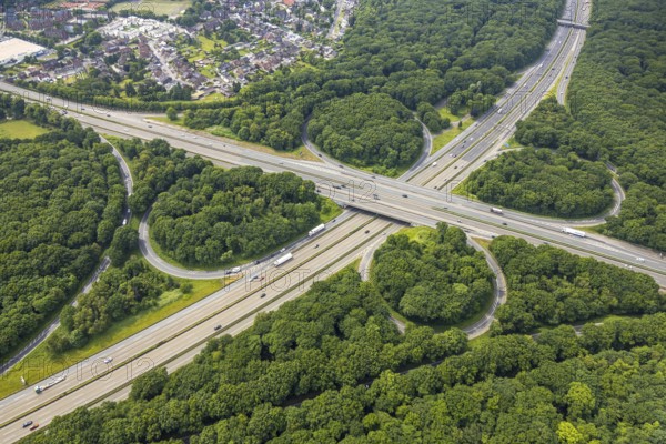 Aerial view, motorway junction Oberhausen with the motorways A2 and A3, nature reserve NSG Sterkrader Wald, Königshardt, Oberhausen, Ruhr area, North Rhine-Westphalia, Germany, motorway, motorway bridge, DE, Europe, aerial view, aerial photography, aerial photography, overview, bird's eye view, forest area, birds-eyes view, overview, OberhausenNord