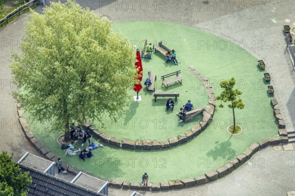 Aerial view, Peace Village International, resting place with benches and shady tree, non-profit organisation - help for children from war zones and crisis areas, Walsumer Mark, Oberhausen, Ruhr area, North Rhine-Westphalia, Germany, DE, Europe, aerial view, aerial photography, aerial photography, overview, bird's eye view, overview, OberhausenNorth