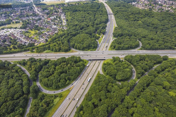 Aerial view, motorway junction Oberhausen with the motorways A2 and A3, nature reserve NSG Sterkrader Wald, Königshardt, Oberhausen, Ruhr area, North Rhine-Westphalia, Germany, motorway, motorway bridge, DE, Europe, aerial view, aerial photography, aerial photography, overview, bird's eye view, forest area, birds-eyes view, overview, OberhausenNord